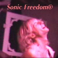 Remember Sonic Freedom® Halloween Gig